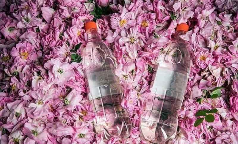 گلاب درجه یک کاشان خالص و خوش عطر